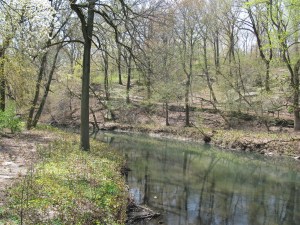 botanical gardens with Misty 087