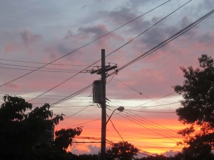 sunset in the bronx 003