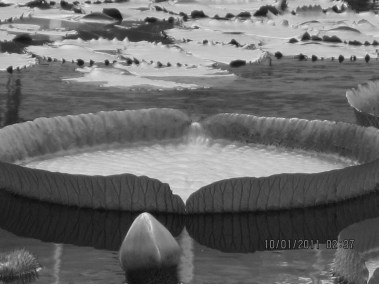 ???????????????????????????????