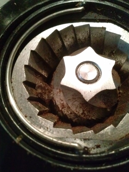 rock in burr grinder