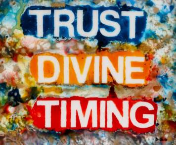 13908834_10154349701005960_7537953136452448769_o